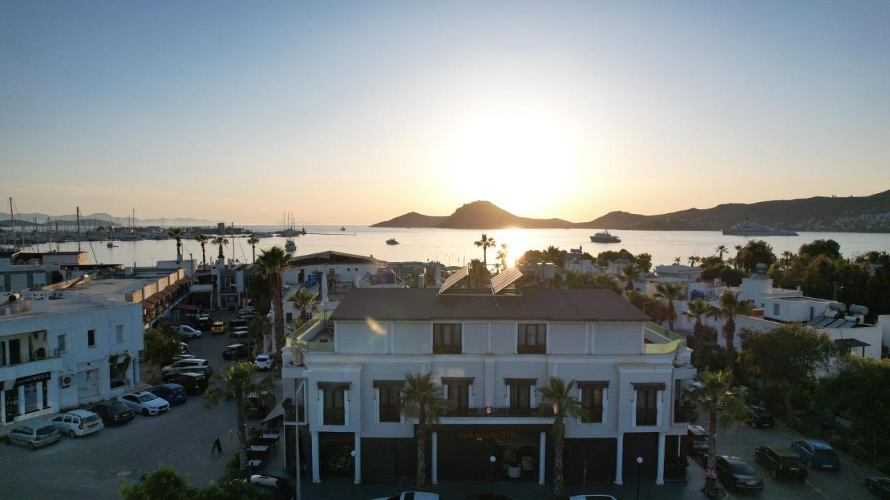 Sea Palm Otel Yalıkavak Εξωτερικό φωτογραφία
